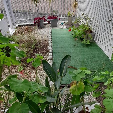 쿠리치바 Casa Inteira 2 Dorm Minimo 3 Dias 빌라 외부 사진